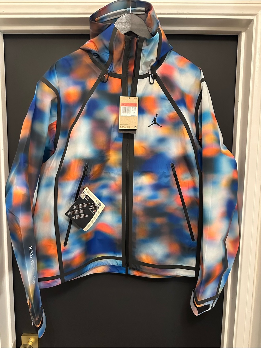 Jordan Men’s Multicolor GORE-TEX Performance Hooded Jacket BNWT $500retail Large